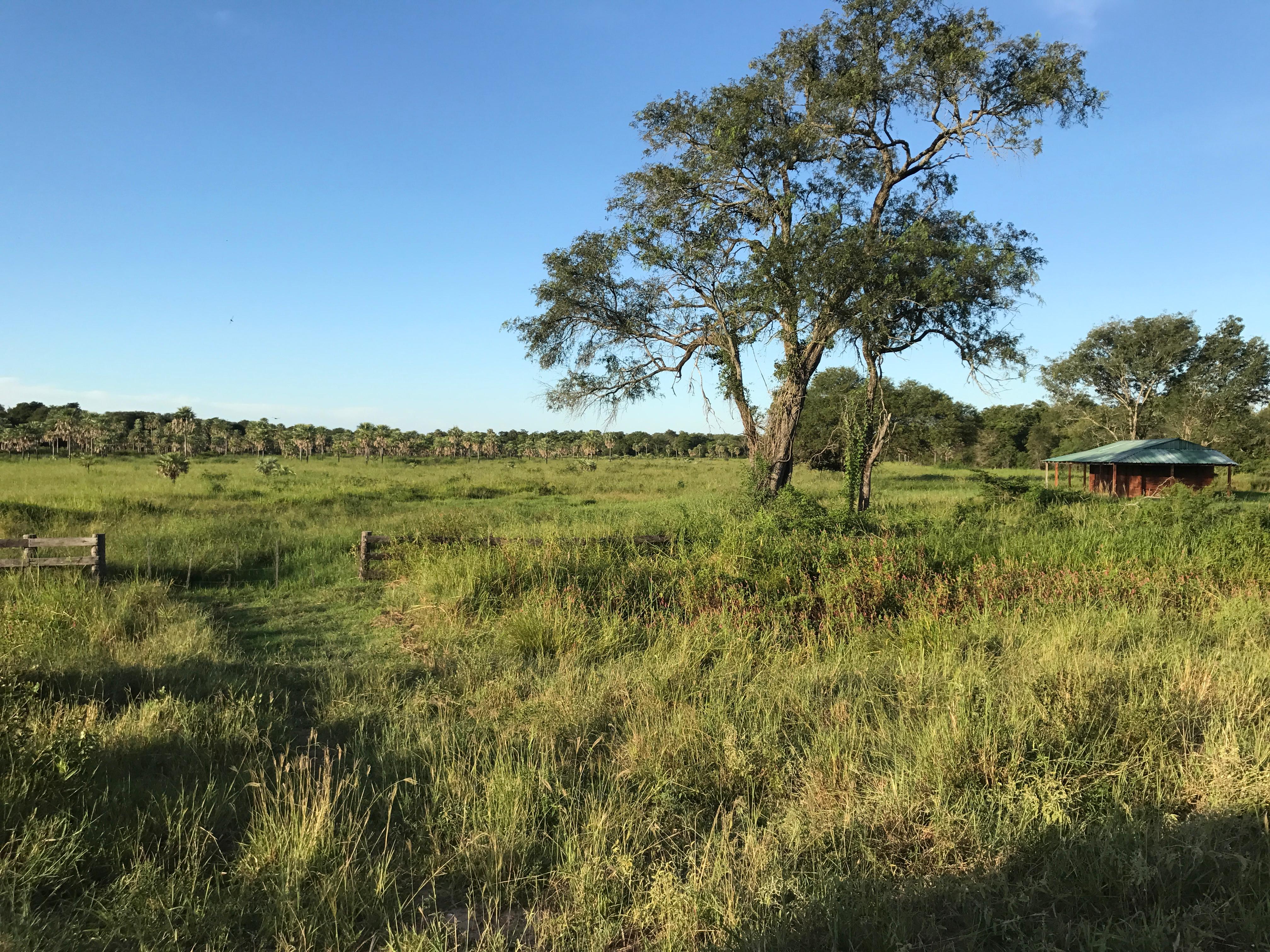 Campo Lindo - Imagen